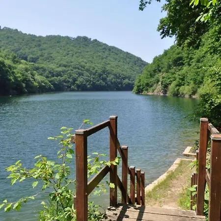 Campingplads Chalet Saint-Martin-Cantales